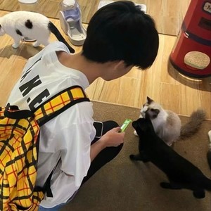 来时路我不觉得孤单 (小距离 remix)