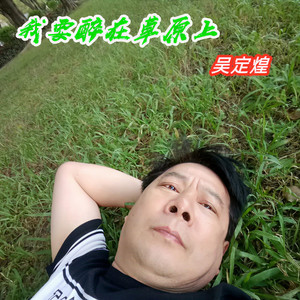 我要醉在草原上