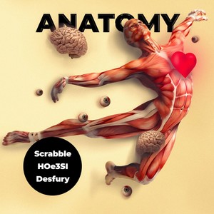 Anatomy (Explicit)