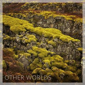 WTOYDISNOTTHETITLE (feat. Matt Brady)