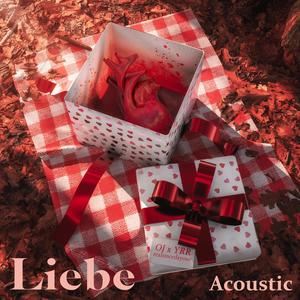 Liebe (Acoustic Version|Explicit)