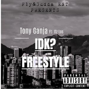 IDK (Freestyle) [Explicit]