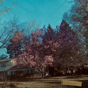 paper flowers (feat. NDR)