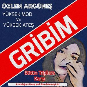 Gribim (Mikrofon Feza)