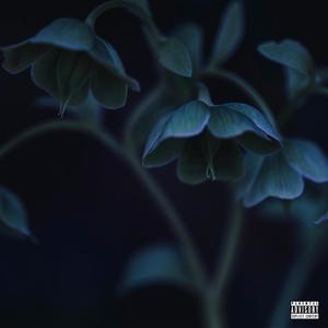 Flowers (Explicit)