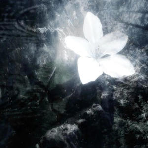 Spark (Explicit)