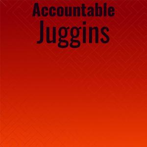 Accountable Juggins