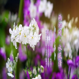 春江花朝秋月夜 (加长版)