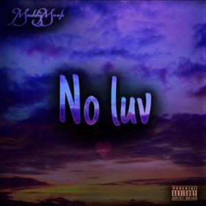 No Luv (Explicit)