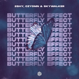 Butterfly Effect