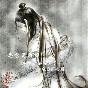 白色桔梗花