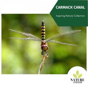 Carmack Canal - Inspiring Nature Collection