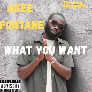 What You Want (feat. Akee Fontane) (Explicit)