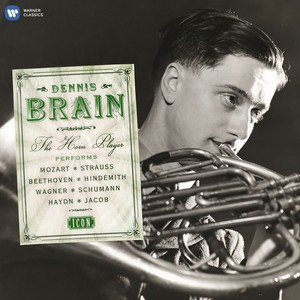 Horn Concerto No. 4 in E Flat Major, K.495 - I. Allegro moderato (cadenza by Norman del Mar) (降E大调第4圆号协奏曲，作品 495)