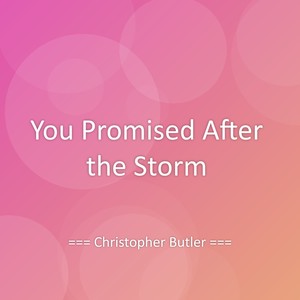 You Promised After the Storm
