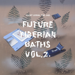 Future Tiberian Baths, Vol. 2