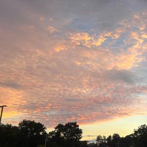 Can't See What I Envision