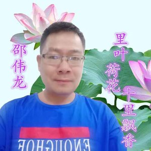 里叶荷花十里飘香