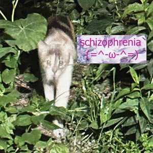 schizophrenia (=^-ω-^=) [Explicit]