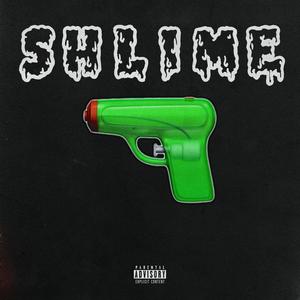 SHLIME (Explicit)