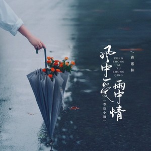 风中爱雨中情