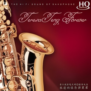 藤原成喜 - 我只在乎你 (I Only Care About You)