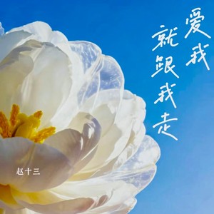爱我就跟我走封面