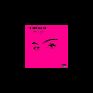 Te Contaron (Radio Edit)