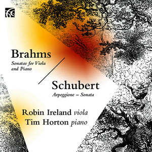 Sonata in A Minor, D. 821 : II. Adagio (arr. for Viola and Piano)