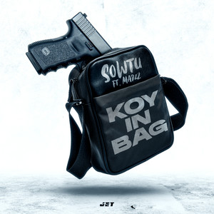 Koy in Bag
