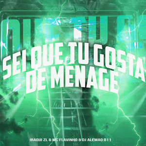 Sei Que Tu Gosta de Ménage (Explicit)