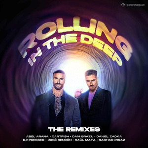 Rolling in the Deep (Dani Brasil Remix)