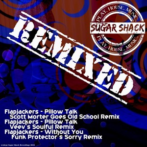 Without You (Funk Protectors Sorry Remix)