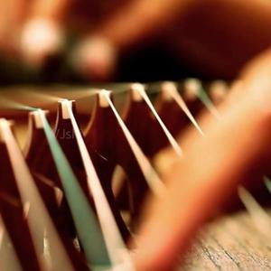 鲸鱼向海_刘大彪 - 50.付娜 - 浪子心声