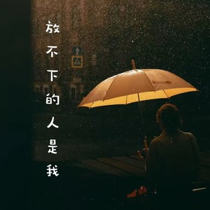 放不下的人是我