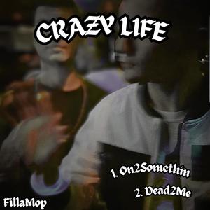 Crazy Life (FillaMop) [Explicit]