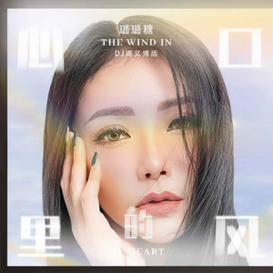 心口里的风 (DJ雨义博版)