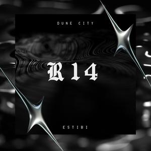 R14 (Explicit)