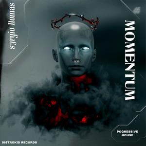 Momentum