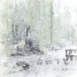 命如飞絮 (口白)