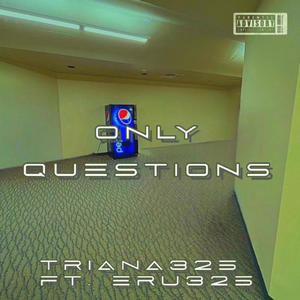 Only Questions (feat. Eru325)