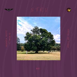 Stru (feat. Man Q) (Explicit)