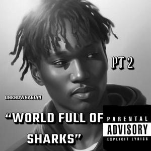 World Full Of Sharks PT2 (Explicit)