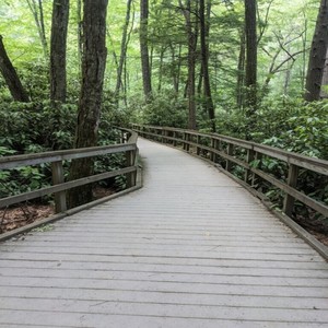 Ares(Wrath)(feat. Dan Wagner)