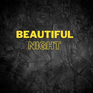 BEAUTIFUL NIGHT