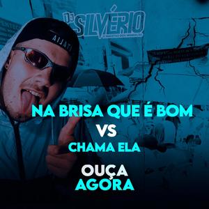 Na brisa que é bom vs Chama ela(feat. DJ Fabrício) (Explicit)