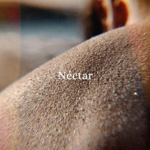 Néctar (feat. Marée)