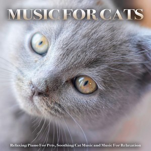Music For Cats