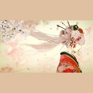 我的一个道姑朋友