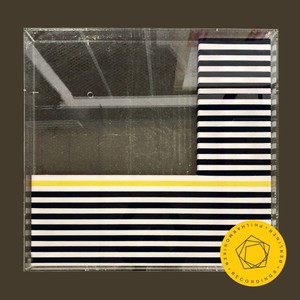 Symphony No. 9 in D Minor, Op. 125 - IVa. Presto